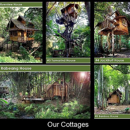Rabeang Pasak Tree House Resort Чіангмай Екстер'єр фото