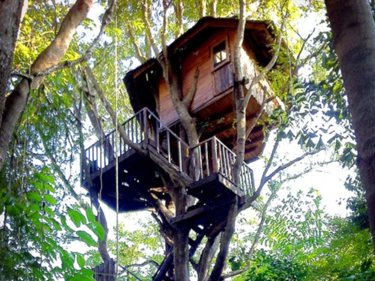 Rabeang Pasak Tree House Resort Чіангмай Екстер'єр фото