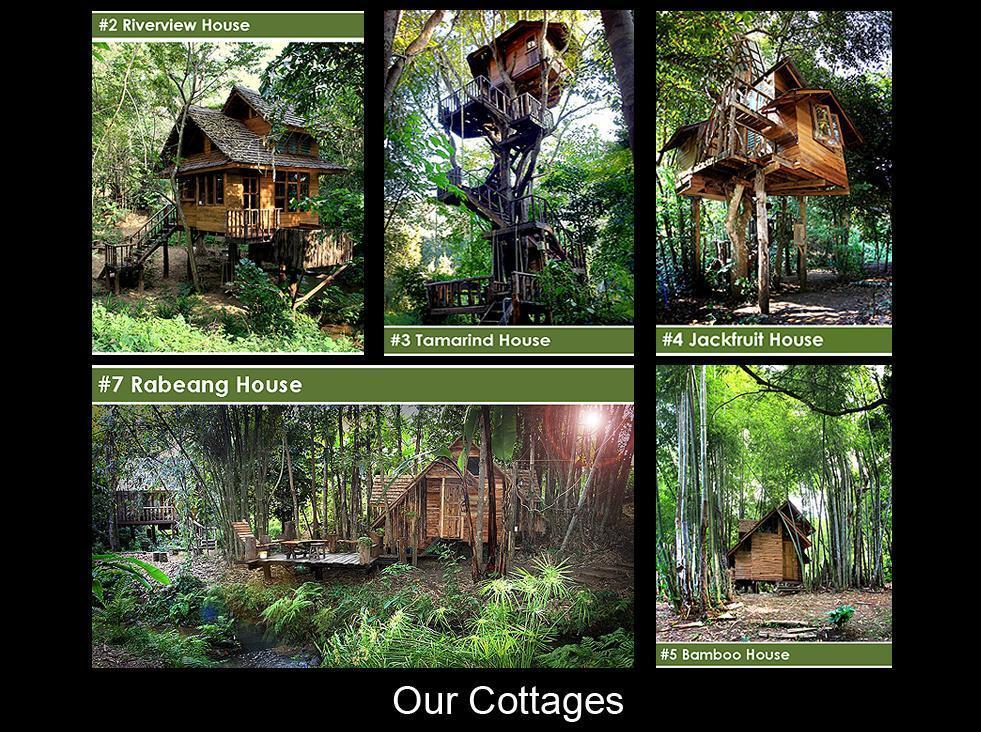 Rabeang Pasak Tree House Resort Чіангмай Екстер'єр фото